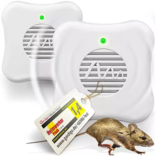 Der Beste Mäuseschreck (2024)